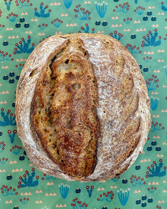 organic-reusable-beeswax-bread-wrap-bee-cactus-proof-9870485 - Kula Bee Goods