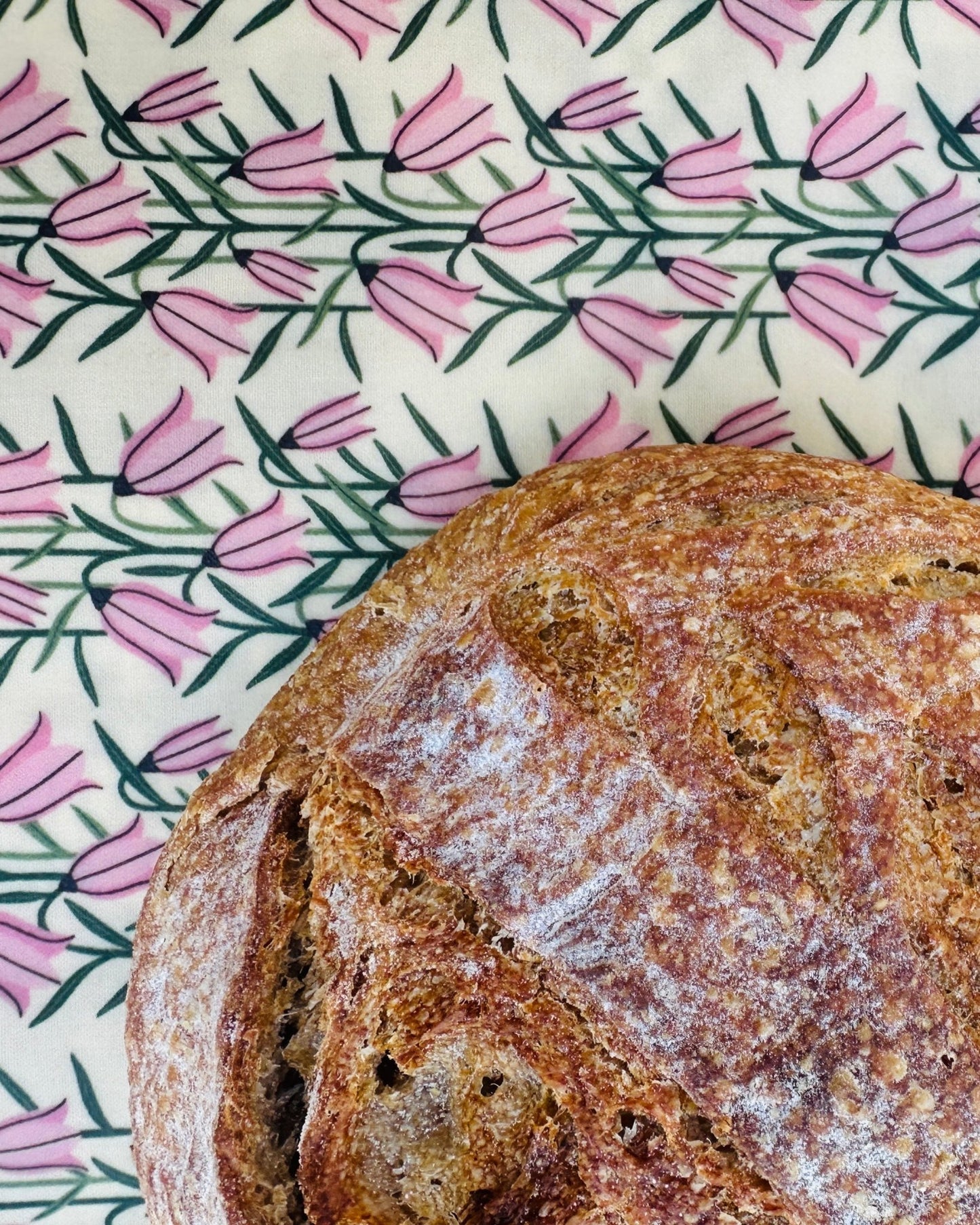 Organic Reusable Beeswax Bread Wrap. Bread Bonnet - Kula Bee Goods
