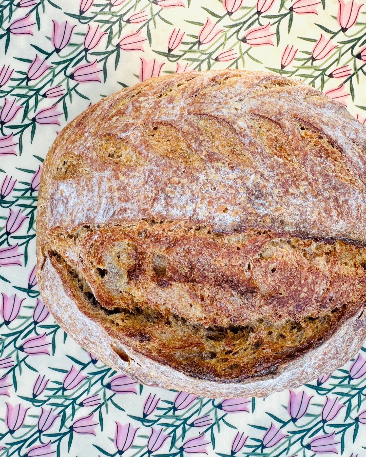 Organic Reusable Beeswax Bread Wrap. Bread Bonnet - Kula Bee Goods