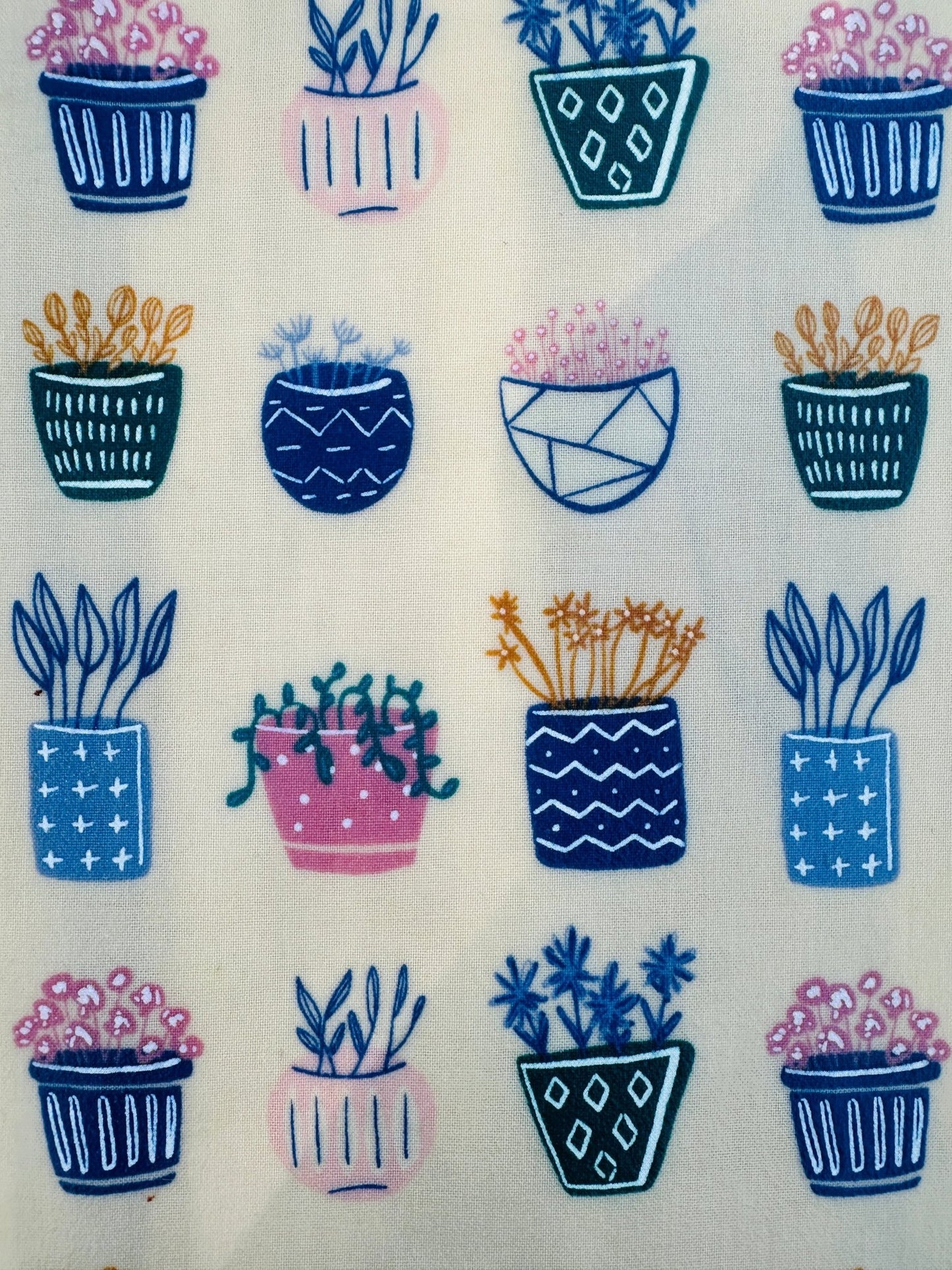 Organic Reusable Beeswax Bread Wrap. Succulent Love - Kula Bee Goods