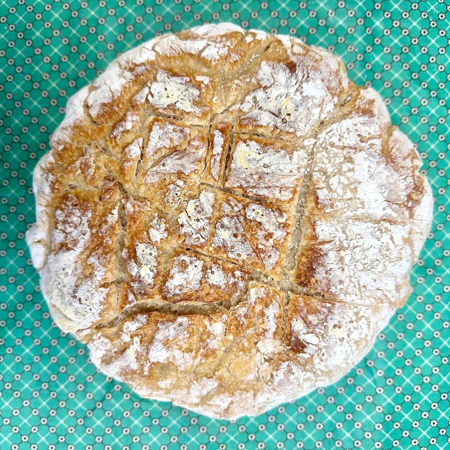 Bread Wraps (Large) - Kula Bee Goods