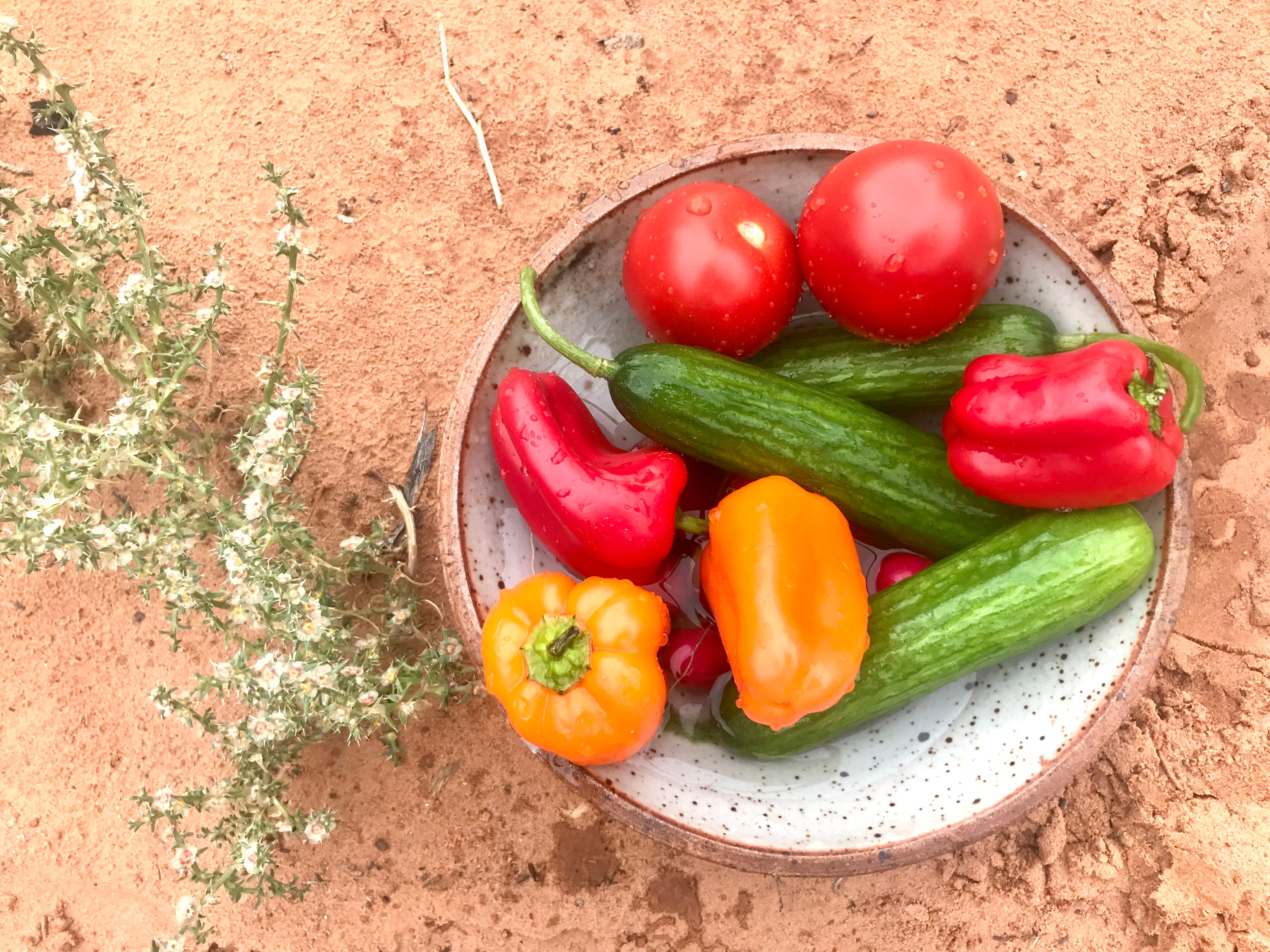 A bowl full of veggies. Cucumber, red and yellow tomatoes, red and yellow bell peppers in the bowl. Red dirt background 