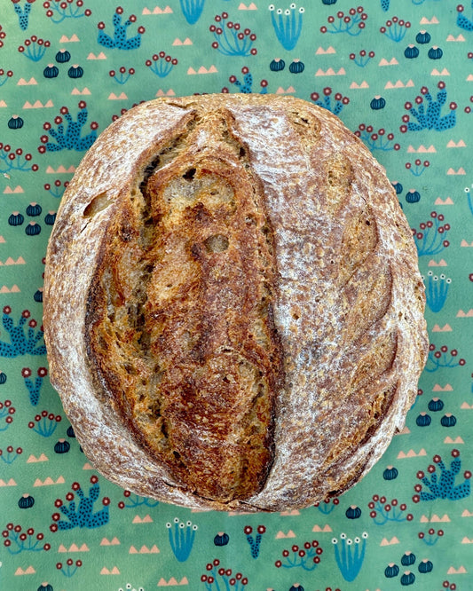 Organic Reusable Beeswax Bread Wrap. Bee Cactus Proof - Kula Bee Goods