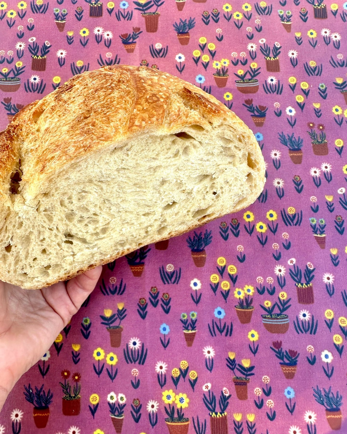 Organic Reusable Beeswax Bread Wrap. My Plants are Happy, My Bread is Happy - Kula Bee Goods